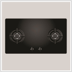 Bếp gas Faster FS 202GB